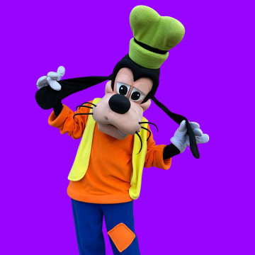 GOOFY / MICKEY MOUSE  