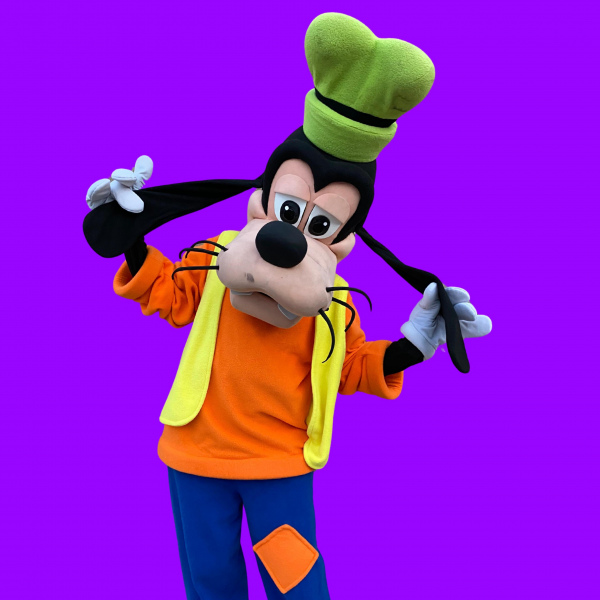 GOOFY / MICKEY MOUSE  