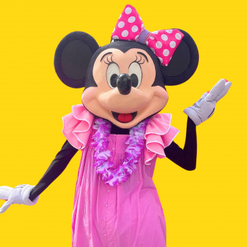 MINNIE / SUMMER / MICKEY MOUSE 