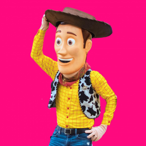 WOODY  / TOY STORY 