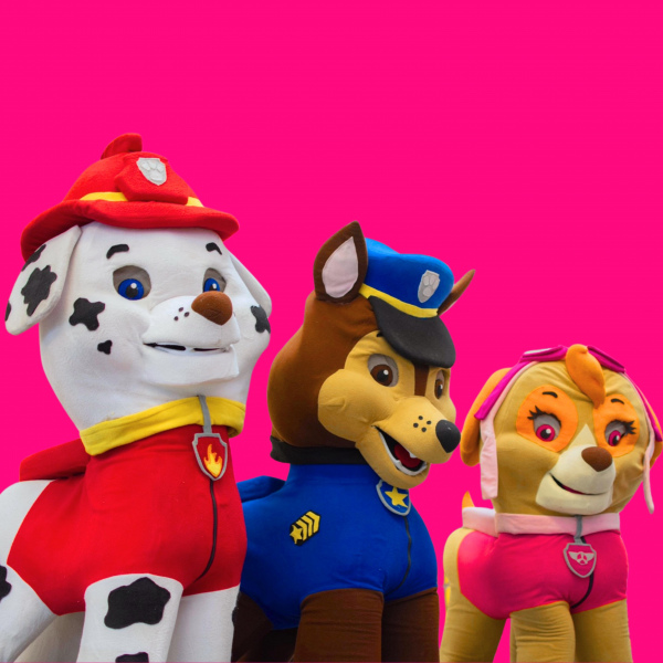 PAW PATROL